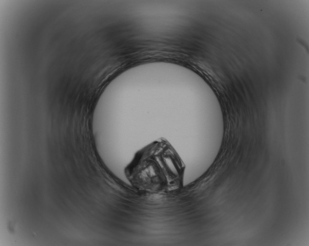 X0000091990325200709061226