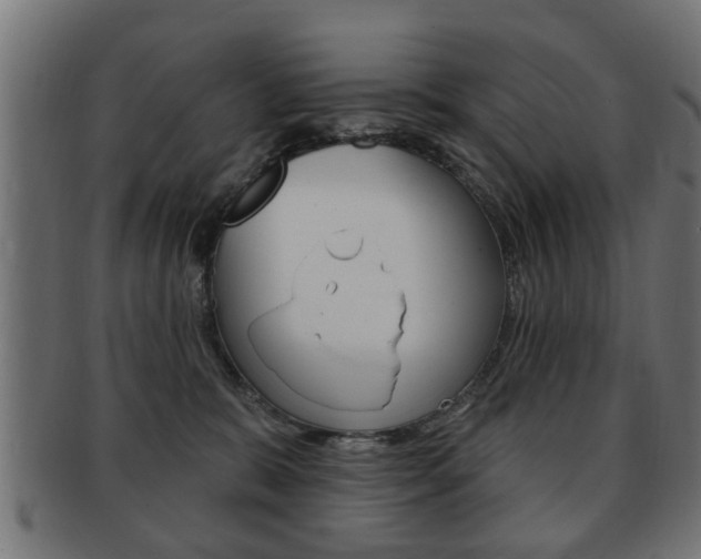 X0000091990327200709061225