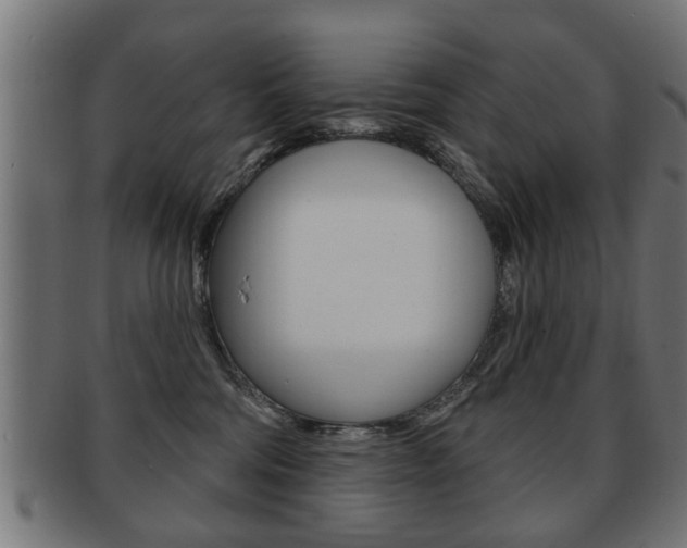 X0000091990330200709061225