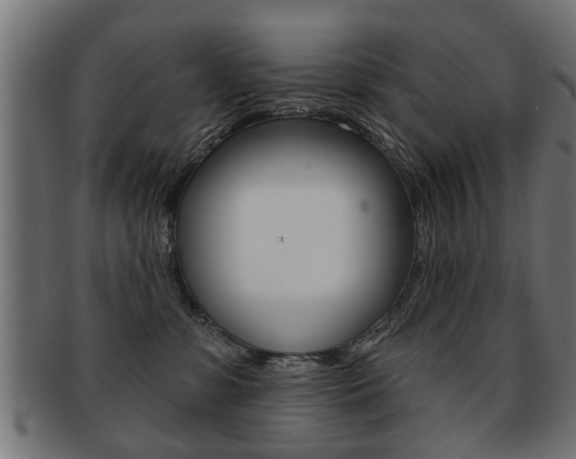 X0000091990331200709061225