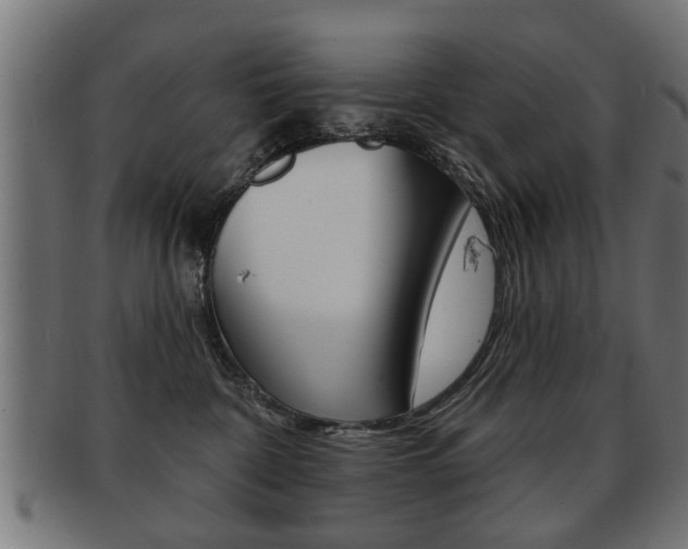 X0000091990332200709061225