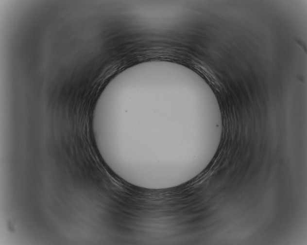 X0000091990333200709061225