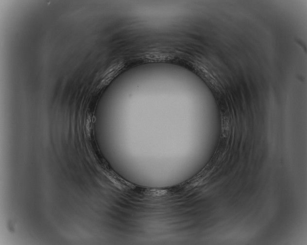 X0000091990334200709061225