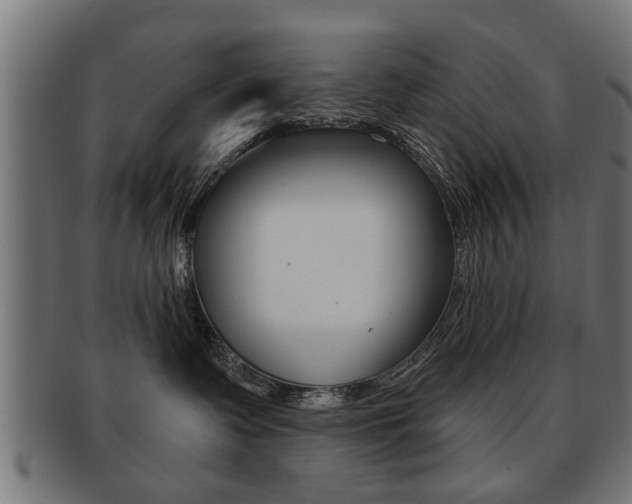 X0000091990335200709061225