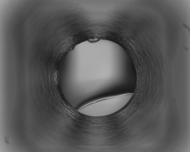 X0000091990336200709061225