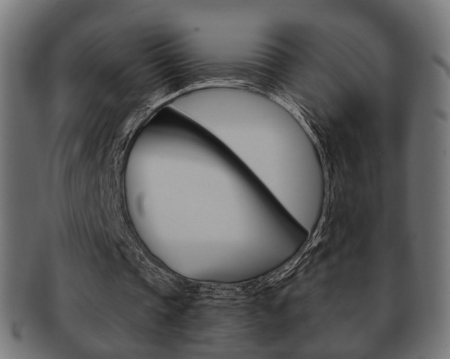 X0000091990337200709061225