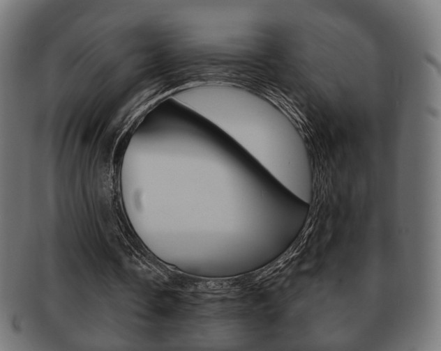X0000091990338200709061225