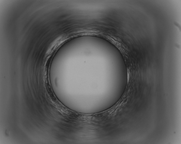 X0000091990339200709061225
