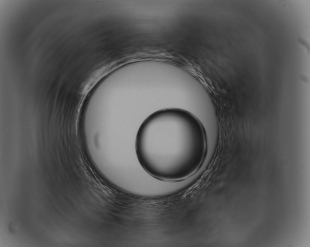 X0000091990340200709061225