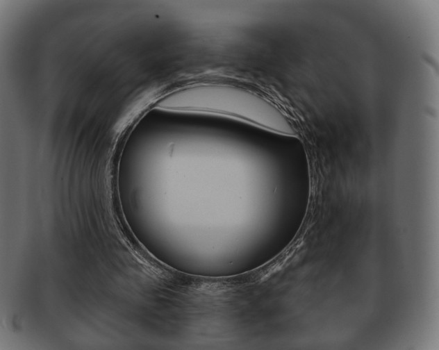 X0000091990341200709061225