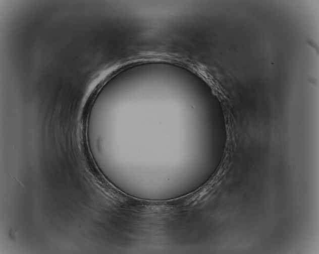 X0000091990342200709061225
