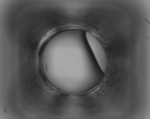 X0000091990343200709061225