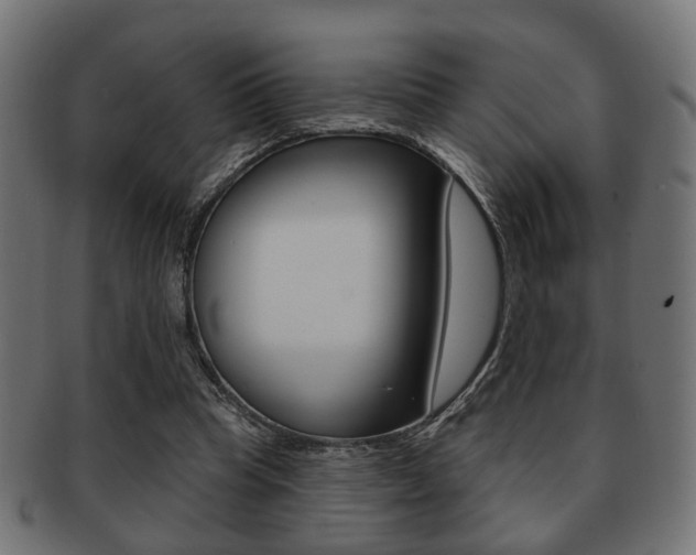 X0000091990345200709061225