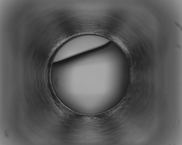 X0000091990346200709061225