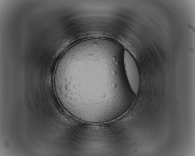 X0000091990347200709061225
