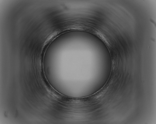 X0000091990349200709061225