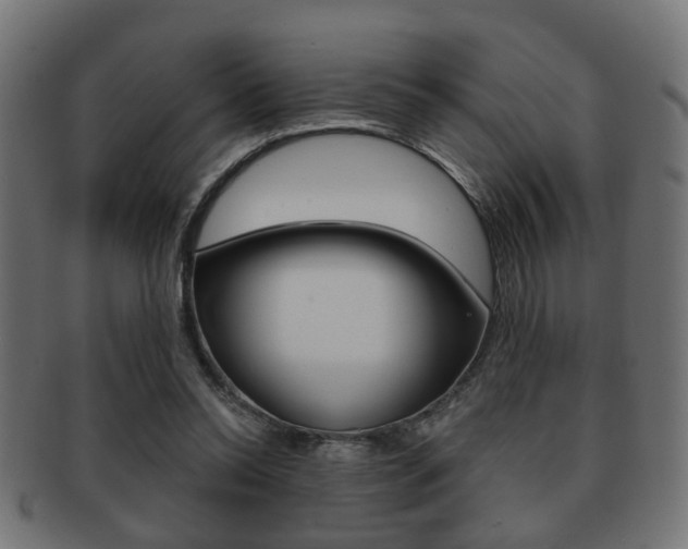 X0000091990350200709061225