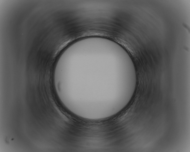 X0000091990352200709061225