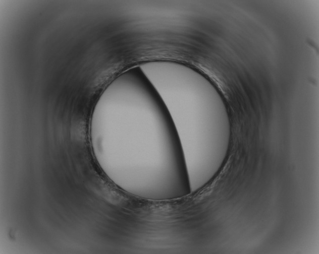 X0000091990353200709061225