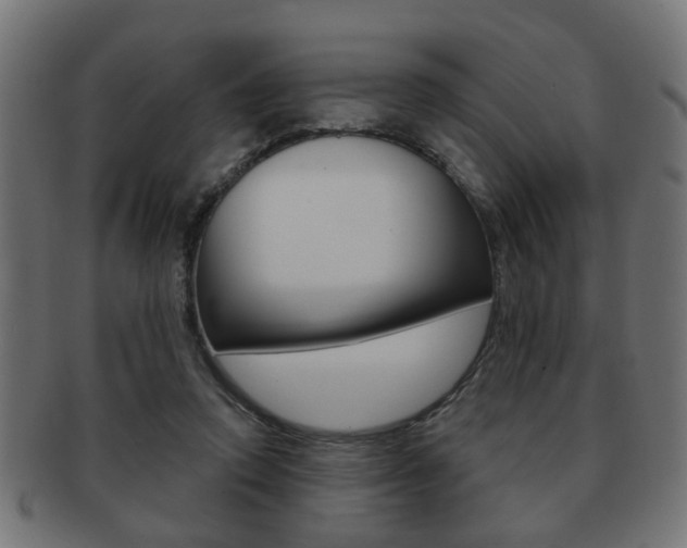 X0000091990354200709061225