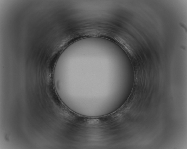 X0000091990355200709061225
