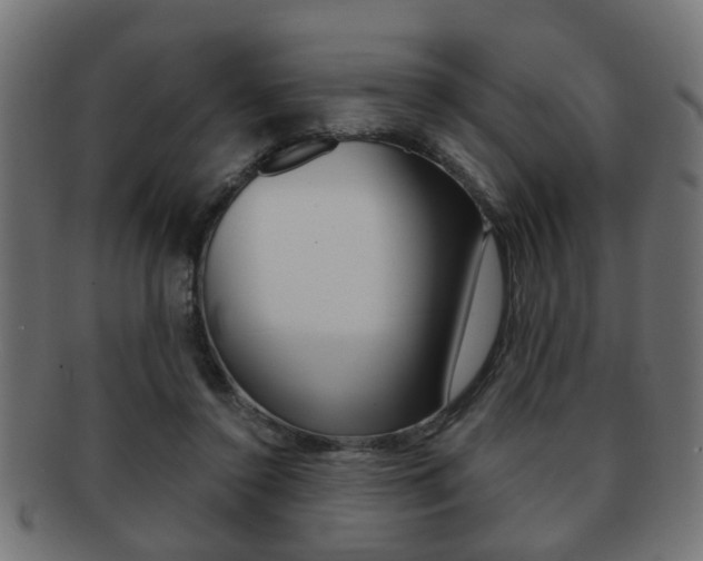 X0000091990356200709061225
