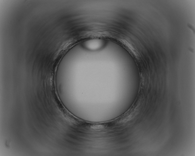 X0000091990357200709061225