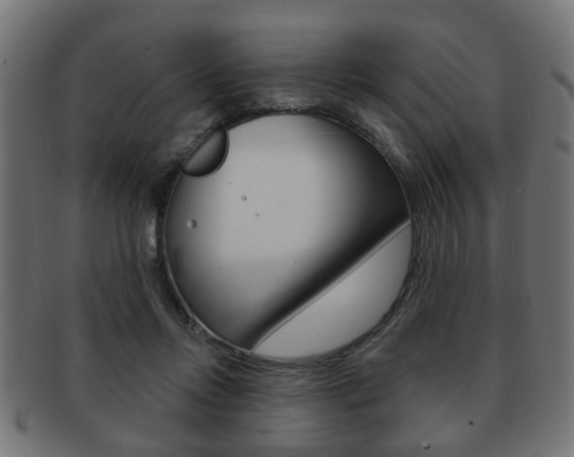 X0000091990358200709061225