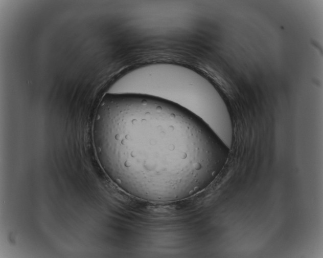 X0000091990359200709061225