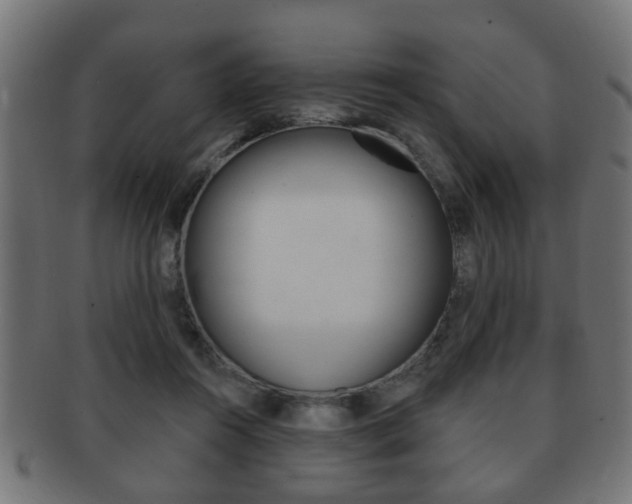 X0000091990360200709061225