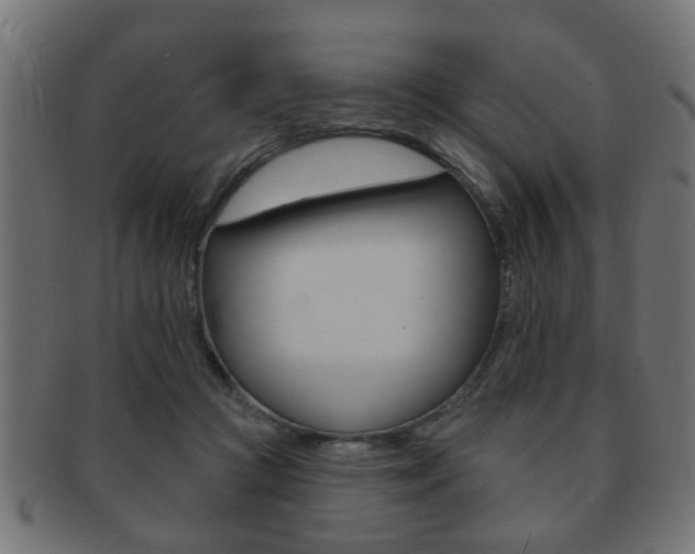 X0000091990361200709061225