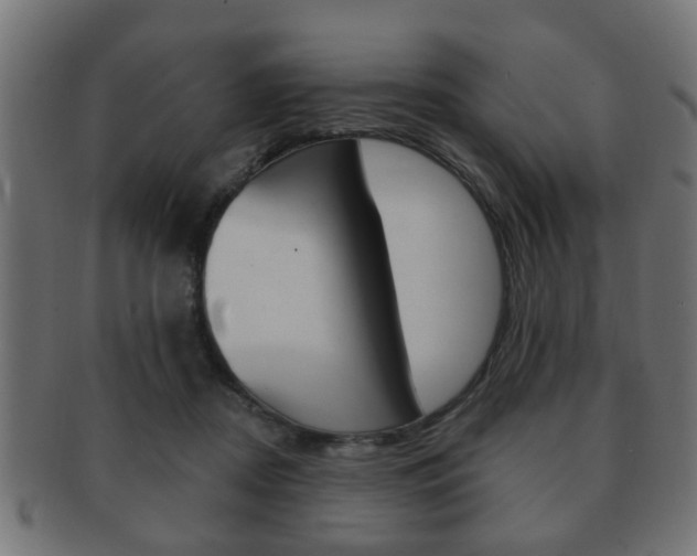 X0000091990362200709061225