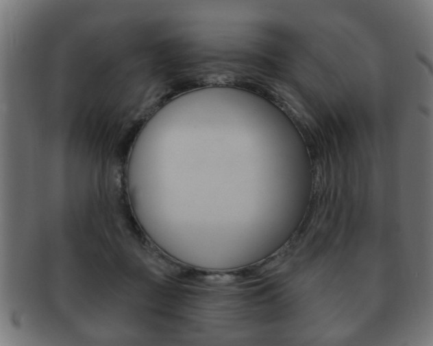 X0000091990363200709061225