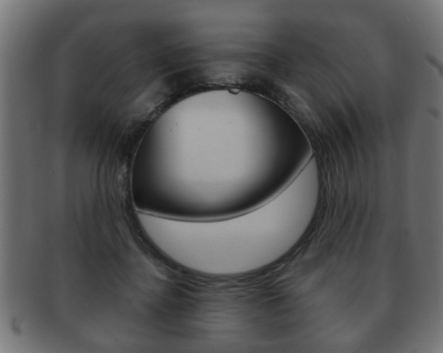 X0000091990364200709061225