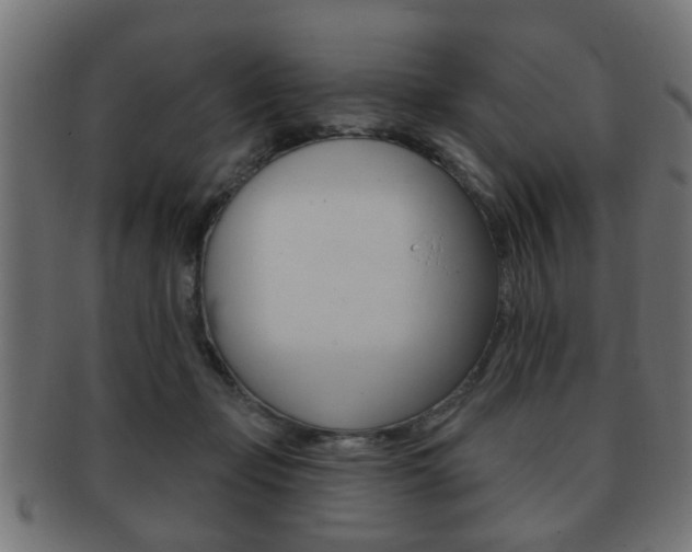 X0000091990365200709061225