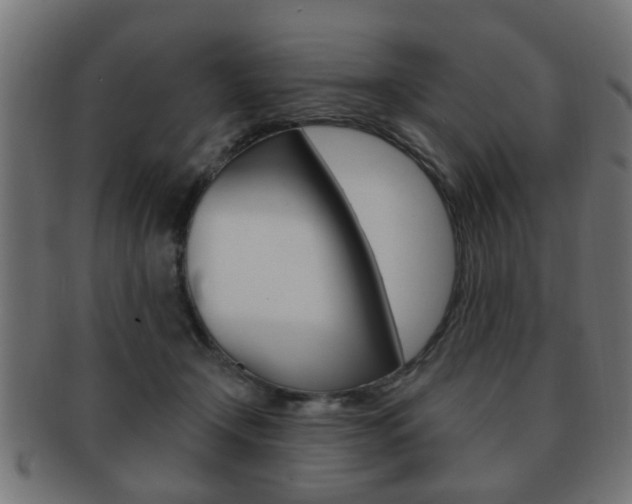 X0000091990366200709061225