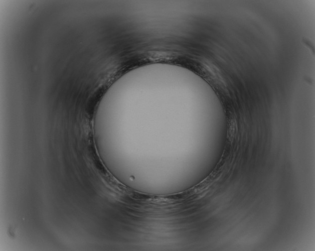 X0000091990367200709061225