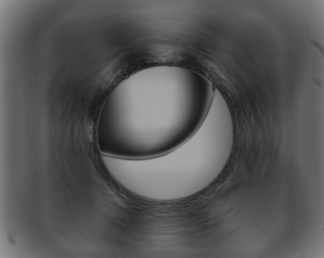 X0000091990368200709061225