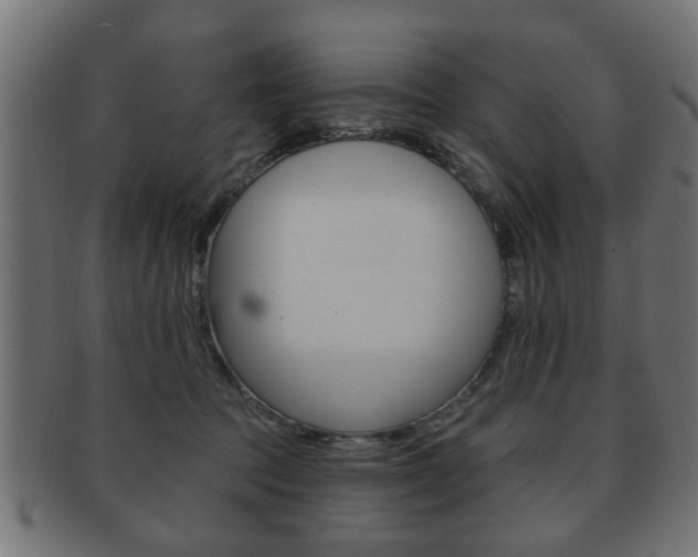 X0000091990369200709061225