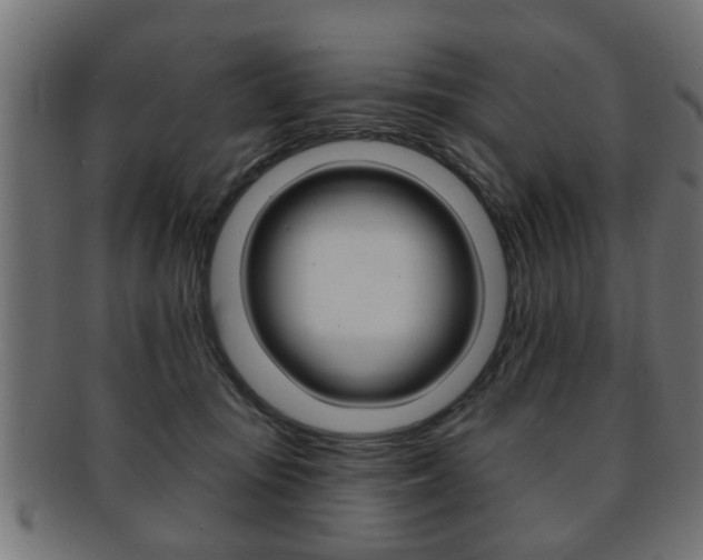 X0000091990371200709061225
