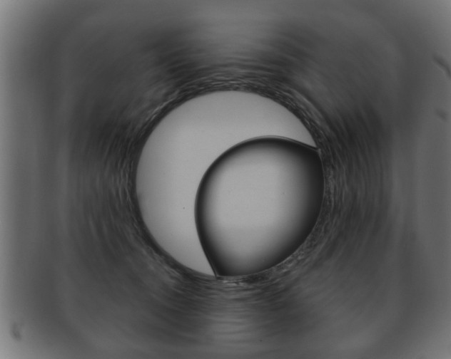 X0000091990372200709061225