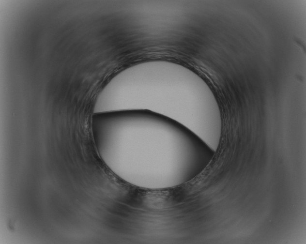 X0000091990373200709061225