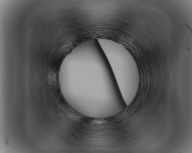 X0000091990375200709061225