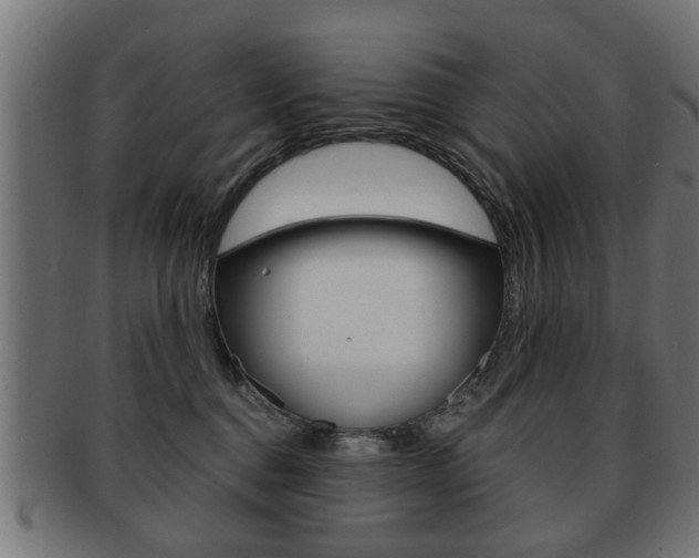 X0000091990376200709061225