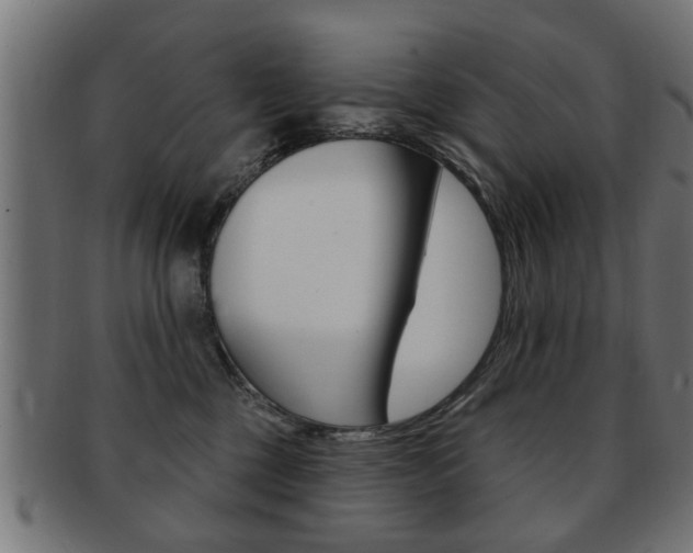 X0000091990377200709061225