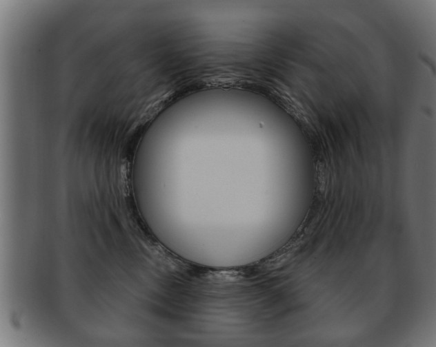 X0000091990378200709061225