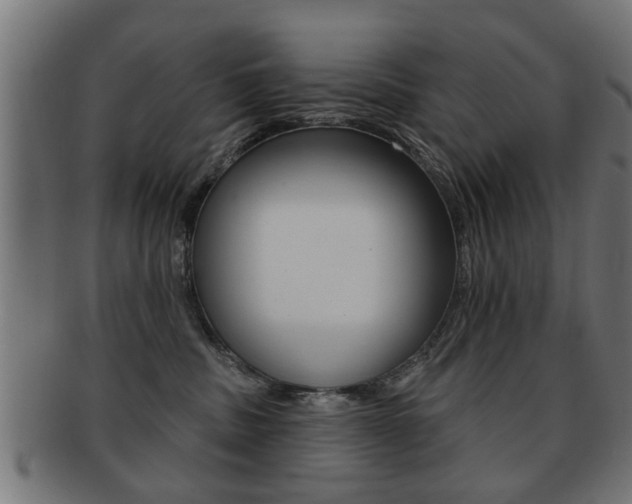 X0000091990379200709061225