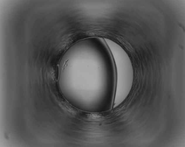 X0000091990380200709061225