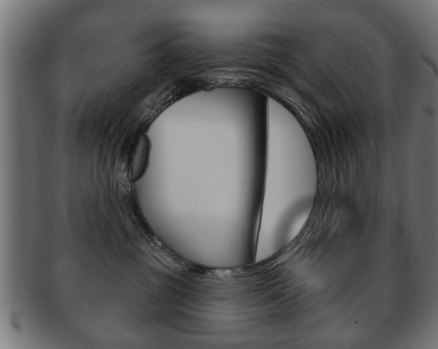 X0000091990381200709061225