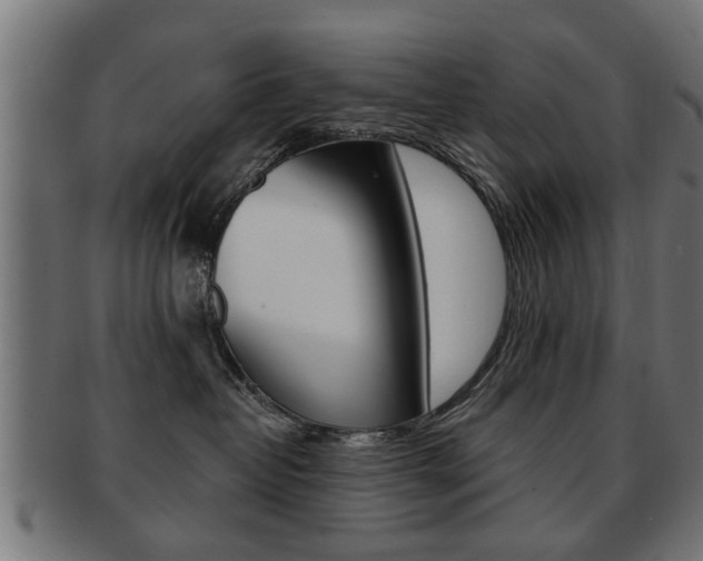 X0000091990382200709061225